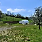 Apatments Radoja - Pliva