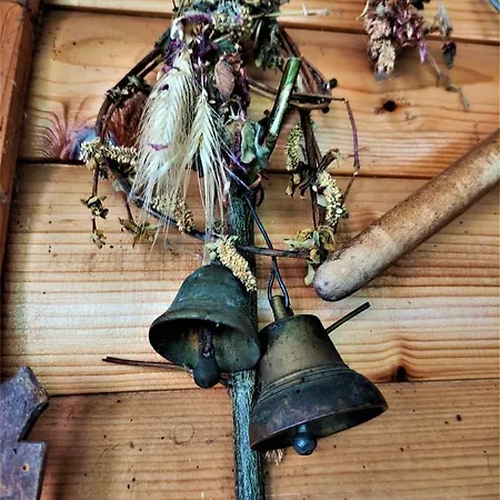 Nocleg ze śniadaniem Apatments Radoja - Pliva