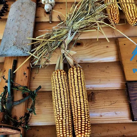 Nocleg ze śniadaniem Apatments Radoja - Pliva Sipovo