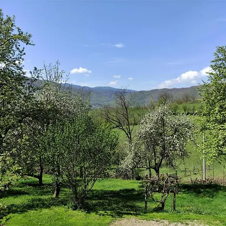 Apatments Radoja - Pliva Bed & Breakfast *