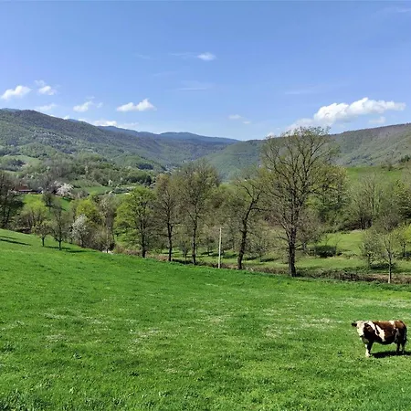 Apatments Radoja - Pliva