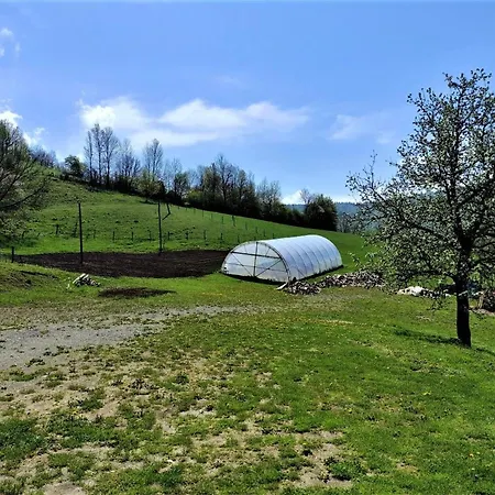 Apatments Radoja - Pliva