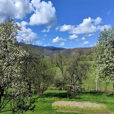 Apatments Radoja - Pliva