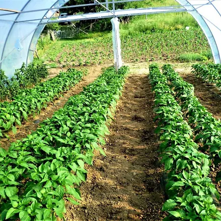 Nocleg ze śniadaniem Apatments Radoja - Pliva Sipovo